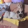 Lincy182 1 的头像