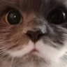 Profilbild von xecty
