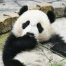ЀПÑП пÑПÑÐžÐ»Ñ smile pandaðŒðŸðâ