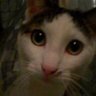 Profilbild von moon_dance_131