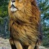Фото профиля Larbi Assous