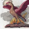 Phoenix's profile picture