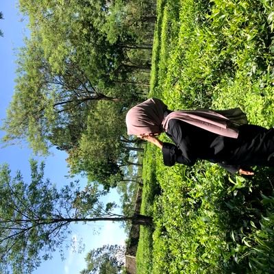SNF's profile picture