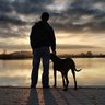 Αντιδεξιός Επώνυμος's profile picture