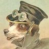 Colin Johns's profile picture