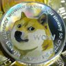 Фото профиля the doge holder