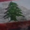 Amal Khoury's profile picture