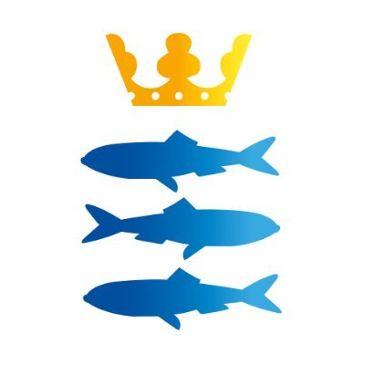 𝗗𝗲 𝗦𝗰𝗵𝗲𝘃𝗲𝗻𝗶𝗻𝗴𝗲𝗿's profile picture