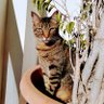 Фото профиля Mery agp