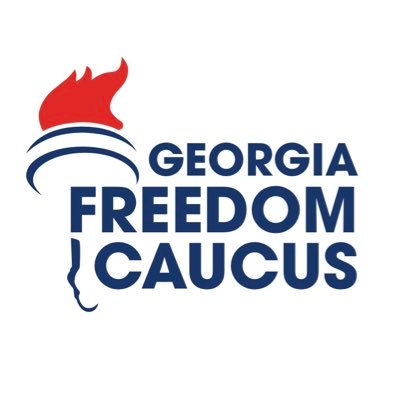 FreedomCaucusGA's profile picture