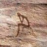 Profilbild von 阿银