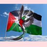 Jamz 🇵🇸 🍉 profil fotoğrafı