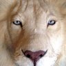 Fabri Alf. profil fotoğrafı