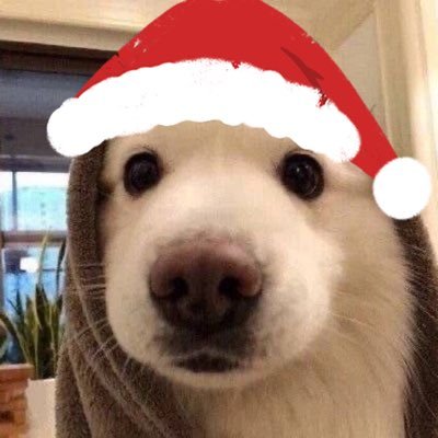 JAVE's profile picture