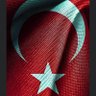 Alparslan Türkmen /ay yıldızlı hilalin muhafızı's profile picture