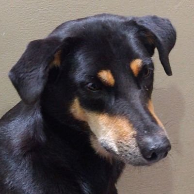 Joaquín.'s profile picture
