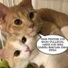 Mutiara Boni profil fotoğrafı
