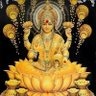 Фото профиля Rajiv Chadha
