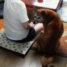 うも 64^_^ 的头像
