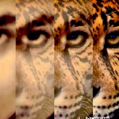 أبو هتّان 30K " تاسي " BTC's profile picture