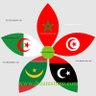 Ahmed  Ghoula 的头像