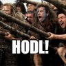 HODL 的头像