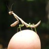 FNBeau profil fotoğrafı