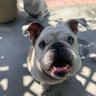 Marly profil fotoğrafı
