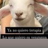 Alejandra Gutierrez's profile picture