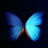 Profilbild von Dreams_