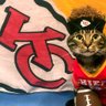 Фото профиля KC Chiefs NY