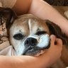Tracey Suits's profile picture