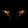 Magdy Eledesy's profile picture