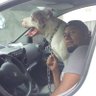 Arturo Mendez's profile picture
