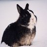 ☮️ изболотный выползень 的头像