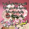 Mounir 的头像