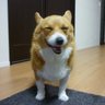 Profilbild von Saori kosuke