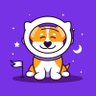 Фото профиля SpaceXDoge_BSC