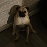 Фото профиля Jake