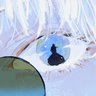 . profil fotoğrafı