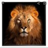 Фото профиля Cristão que pensa !
