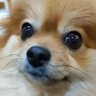 ちえぞう's profile picture