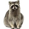 Erik M's profile picture