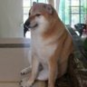 Profilbild von ciro