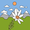 Galya Galya's profile picture
