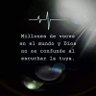 Фото профиля Jose Manuel