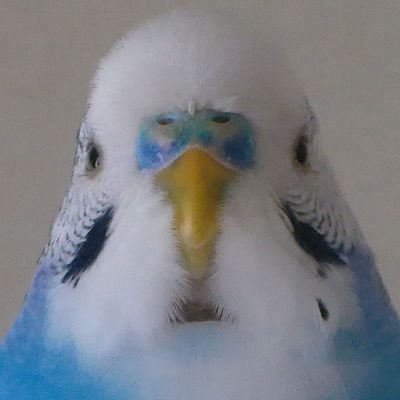 ひかりん's profile picture