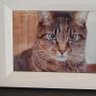カムイママ profil fotoğrafı