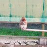 ひろひろ 的头像