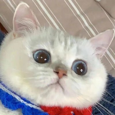 SrPOM5S0lGmmy4I's profile picture